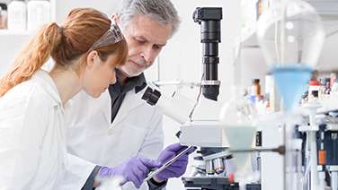 connecting the lab