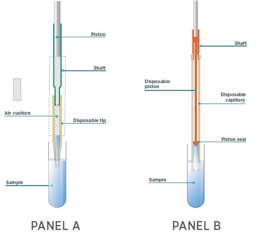An image comparing air-displacement pipettes with positive-displacement pipettes